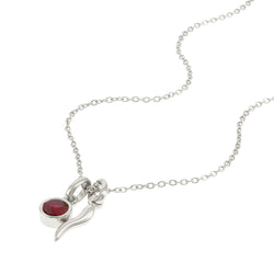 Collar cuerno de la suerte cristal rojo 45cm