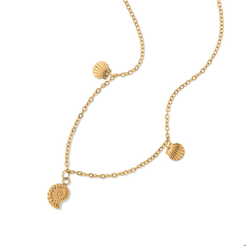 Collar caracol concha de mar 45-50cm