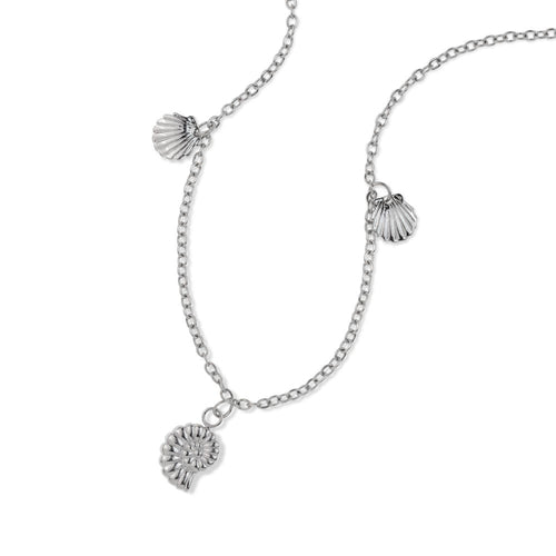 Collar caracol concha de mar 45-50cm