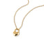 Collar con candado en forma de corazon 45-50cm
