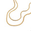 Collar doble cadena planchada y torsal diamantada 45-50cm