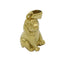 Dije perro liso 23mm