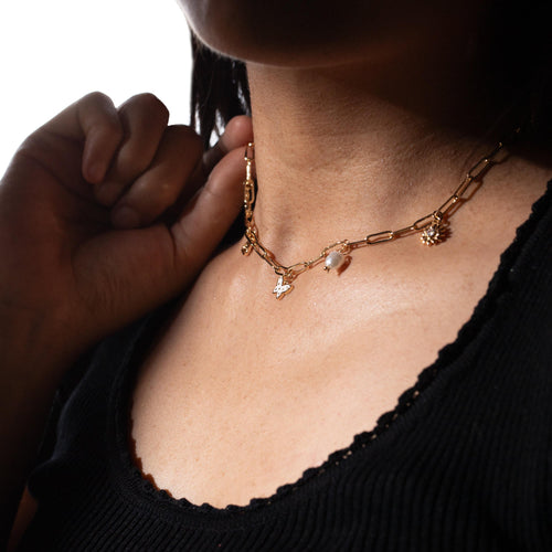 Collar de mariposa flor y catarina esmalte circonias 40-45cm