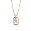 Collar ajustable con circonias y marco colgante 45cm-22mm